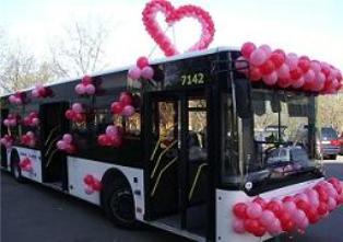 Свадебные автобусы напрокат недорого